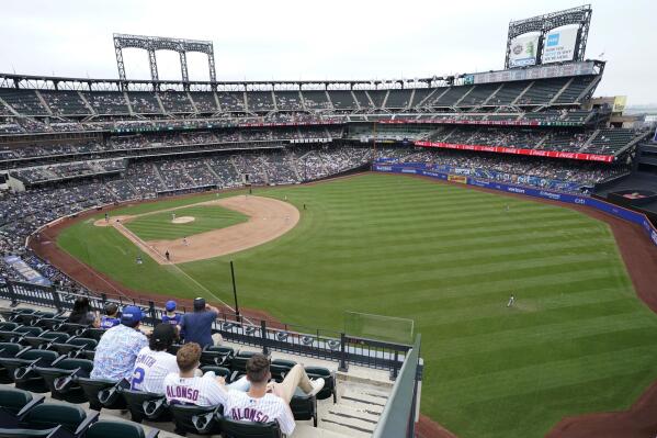 Of Course Thumbs Down Guy Is A Mets Fan