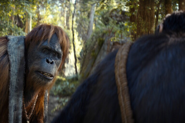 This image released by 20th Century Studios shows Raka, played by Peter Macon, in a scene from "Kingdom of the Planet of the Apes." (20th Century Studios via AP)