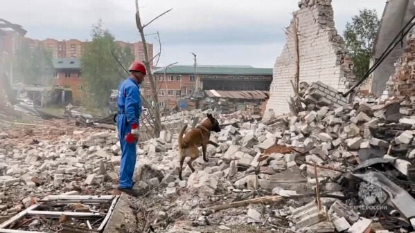 In this photo released by Russian Emergency Ministry Press Service on Wednesday, Aug. 9, 2023, An emergency Ministry employee and his dog work at the side of the Zagorsk Optical and Mechanical Plant after the blast in the city of Sergiev Posad, Moscow Region, about 65 km (41miles) north-east of Moscow, Russia. An explosion Wednesday, on the grounds of a factory north of Moscow that makes optical equipment for Russia's security forces wounded dozens people, six of them severely, officials said. (Russian Emergency Ministry Press Service via AP)