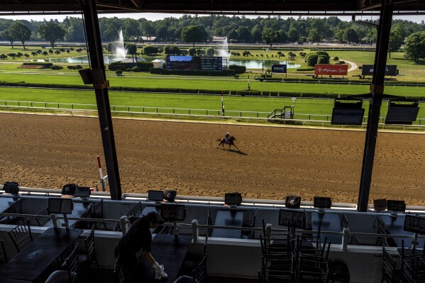A horse works out ahead of the 156th running of the Belmont Stakes horse race at Saratoga Race Course, Wednesday, June 5, 2024, in Saratoga Springs, N.Y. (AP Photo/Julia Nikhinson)