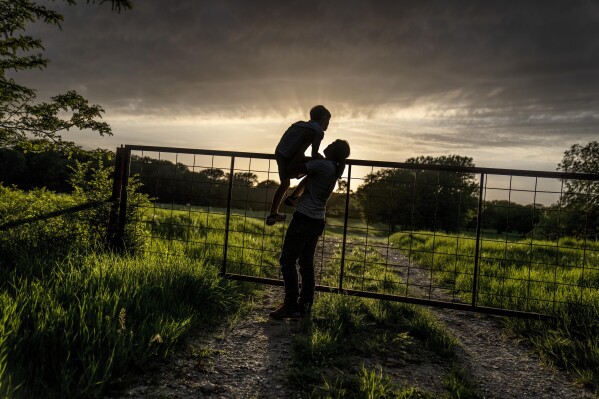 The sun sets as Meredith Ellis looks at cattle with her son, GC, 6, on their ranch in Rosston, Texas, Thursday, APril 20, 2024. Ellis has seen how global warming is altering her land. She calls it an "existential crisis," the backdrop to the endless to-do list that comes with regenerative ranching. After a long day, she likes to take a moment to remember why she does it. Standing with her 6-year-old son on a cool evening, they watch over a gate as dozens of cows graze amid the lush grass and a setting sun. "I could stand here all evening," she says. "I just love them." (AP Photo/David Goldman)