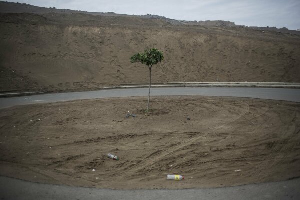 
              A lone tree stands in the desert outside Piedras Gordas II prison in Lima, Peru, Wednesday, March 15, 2017. A group of 31 Spanish citizens serving out long drug sentences at this facility are anxiously awaiting to be repatriated Thursday as part of an airlift brokered by the two governments. (AP Photo/Rodrigo Abd)
            