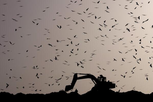 Birds fly around as an earthmover sorts garbage at the Ghazipur garbage dump in New Delhi, India, Monday, March 28, 2022.(AP Photo/Manish Swarup)