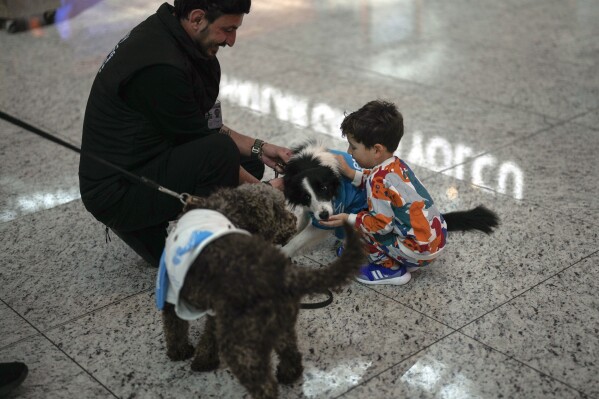 A child plays with airport therapy dogs Alita and Kuki at Istanbul Airport in Turkey, Wednesday, April 3, 2024. (AP Photo/Khalil Hamra)