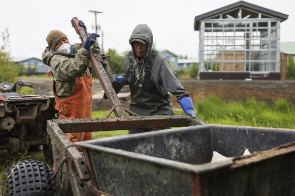 Joseph Moses, left, and and Thomas Noatak attach a honey bucket to an ATV before traveling to the village landfill, Friday, Aug. 18, 2023, in Akiachak, Alaska. Joseph and Thomas collect and remove garbage and human waste from village streets each morning. (AP Photo/Tom Brenner)