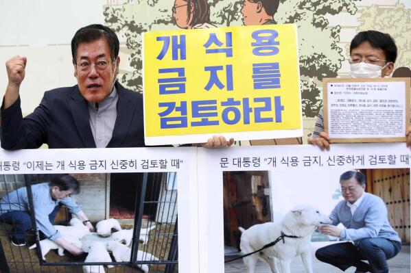 A member of the Korea Association for Animal Protection wearing a mask of South Korean President Moon Jae-in stages a rally opposing South Korea's culture of eating dog meat in Seoul, South Korea, Tuesday, Sept. 28, 2021. Animal rights groups on Tuesday welcomed Moon's offer to look into banning consumption of dog meat. The sign reads "Review the ban on dog eating."(Kim Sun-ung/Newsis via AP)