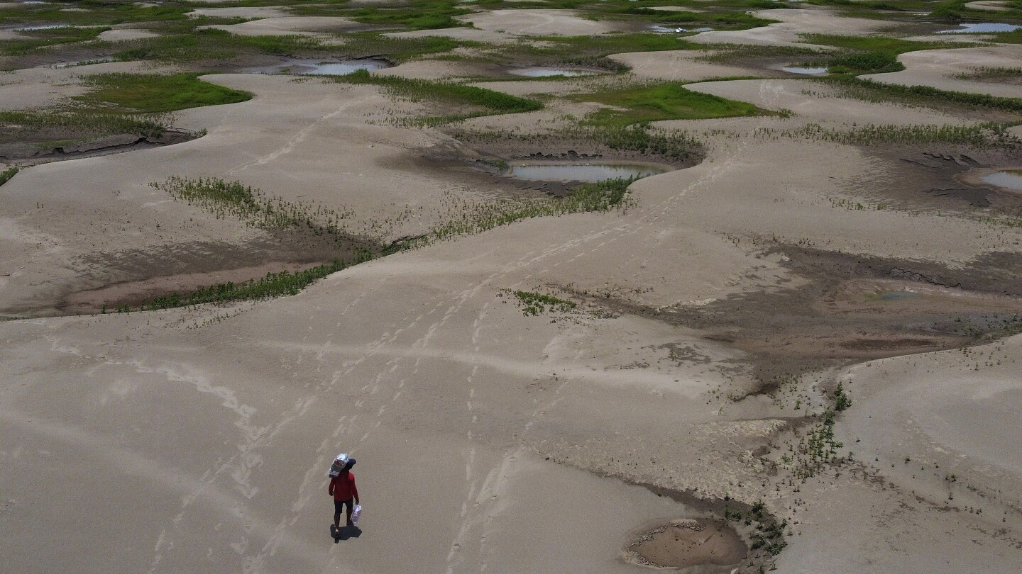 Глобалното затопляне е основната причина за безпрецедентната суша в Амазонка, установява проучване