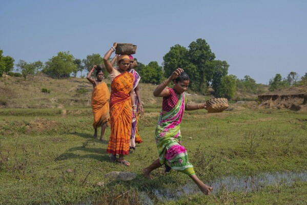 Women from Gadaba Indigenous community walk to collect vegetables and wood from the forest in Hatipakna village, Koraput district, in India's eastern state of Odisha, Wednesday, April 16, 2025. (AP Photo/Rafiq Maqbool)
