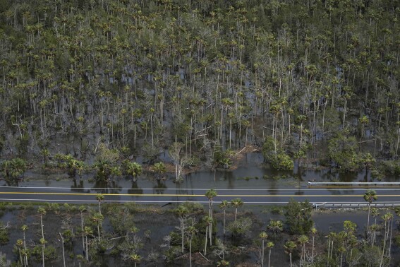FILE - A road cuts through a flooded area south of Perry, Fla., following the passage of Hurricane Idalia, Aug. 30, 2023. Florida agriculture losses from Hurricane Idalia are estimated at between $78 million and $371 million, with producers also suffering widespread damage to such infrastructure as irrigation rigs and fences. That's according to a preliminary report Thursday, Sept. 21, 2023 from the University of Florida. (AP Photo/Rebecca Blackwell, file)