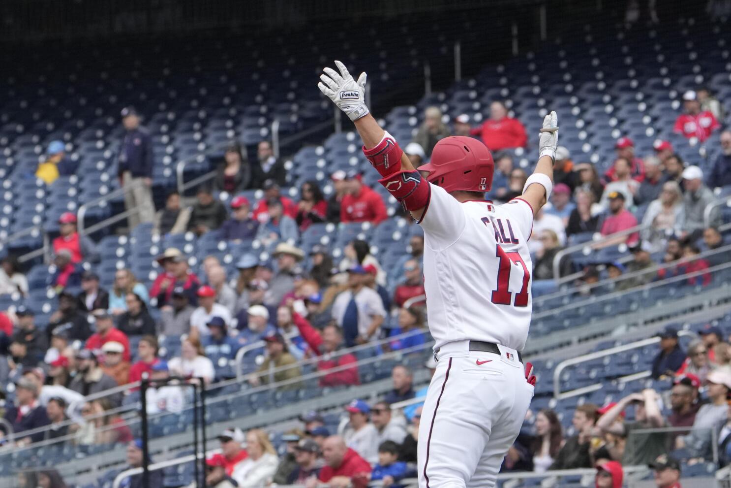 Call's walk-off homer gives Nationals 4-3 win over Cubs