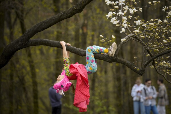 A child wearing a unicorn hat climbs a tree in the Magnolia garden of the National Botanical Garden, in Kyiv Ukraine, April 7, 2024. (AP Photo/Vadim Ghirda)