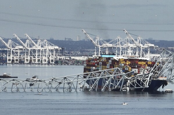 A cargo ship is stuck under the part of the structure of the Francis Scott Key Bridge after the ship hit the bridge Tuesday, March 26, 2024, in Baltimore, Md. (AP Photo/Steve Helber)