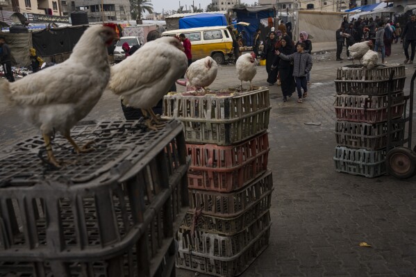 Palestinians walk through a street market in Rafah, Gaza Strip, Friday, Feb. 23, 2024. An estimated 1.5 million Palestinians displaced by the war took refuge in Rafahor, which is likely Israel's next focus in its war against Hamas.(AP Photo/Fatima Shbair)