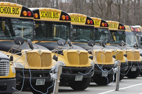 FILE - A row of school buses rests in a parking lot, April 7, 2020, in Cleveland Heights, Ohio. About 7 in 10 AAPI adults approve of K-12 public schools teaching about the history of slavery, racism and segregation, according to a new poll from AAPI Data and The Associated Press-NORC Center for Public Affairs Research. A similar share also support teaching about the history of Asian American and Pacific Islander communities in the United States, while about half support teaching about issues related to sex and sexuality. (AP Photo/Tony Dejak, File)