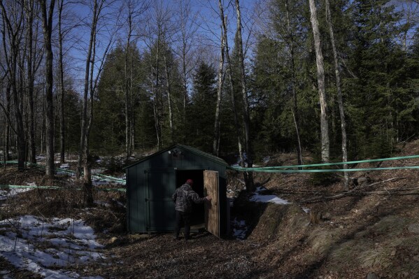 Karl Martin checks inside a pumping station, Sunday, Feb. 25, 2024, at his sugarbush in Rhinelander, Wis. "This year’s the ultimate example of how early the season can start,” Martin said. (AP Photo/Joshua A. Bickel)