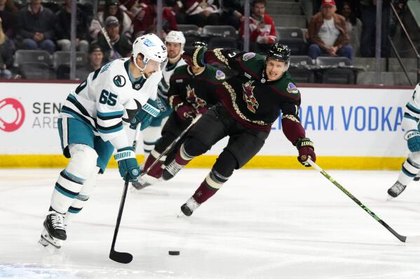 Arizona Coyotes defenseman Josh Brown (3) lands a punch during a fight  against San Jose Sharks center Michael Eyssimont as linesman Devin Berg,  left, looks on during the first period of an