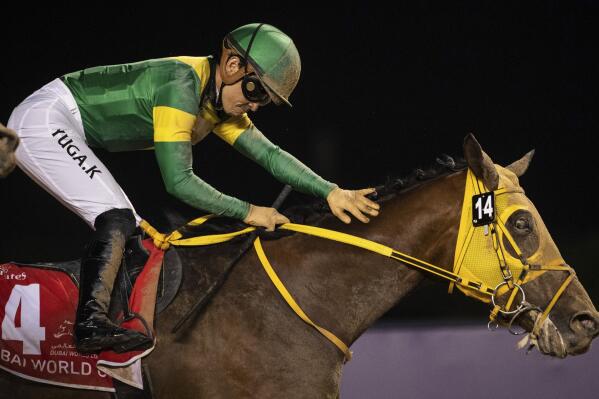 Jockey Yuga Kawada pats Ushba Tesoro after winning the $12 million Group 1 Dubai World Cup over 2000m (10 furlongs) at the Meydan racecourse in Dubai, United Arab Emirates, Saturday, March 25, 2023. (AP Photo/Martin Dokoupil)