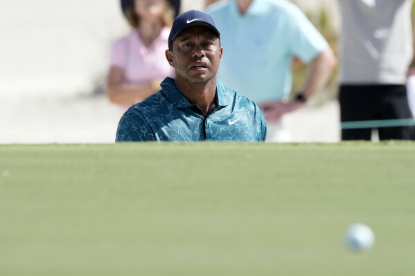 Tiger Woods watches his shot from a green side bunker during the second round of the Hero World Challenge PGA Tour at the Albany Golf Club, in New Providence, Bahamas, Friday, Dec. 1, 2023. (AP Photo/Fernando Llano)