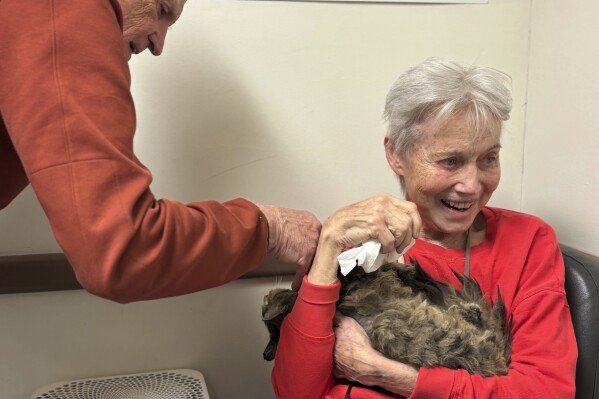 In this image provided by Carolyn Kiefer her mother, Katherine Kiefer, 82, is reunited with her cat Aggie at VCA Chatoak Animal Hospital after the Palisades Fire destroyed her home and the cat was missing, Saturday, March 8, 2025, in Los Angeles. (Carolyn Kiefer via AP)