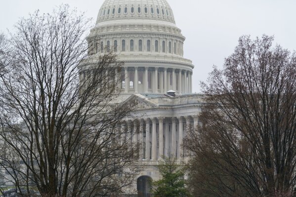 The Capitol is seen under muted and rainy skies in Washington, Wednesday, March 24, 2021. (AP Photo/J. Scott Applewhite)