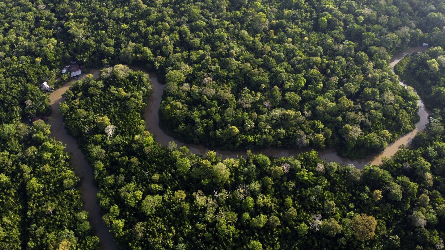 Stany Amazonii apelują o wspólny głos w sprawie zmian klimatu i apelują do krajów uprzemysłowionych o pomoc w ochronie lasów deszczowych