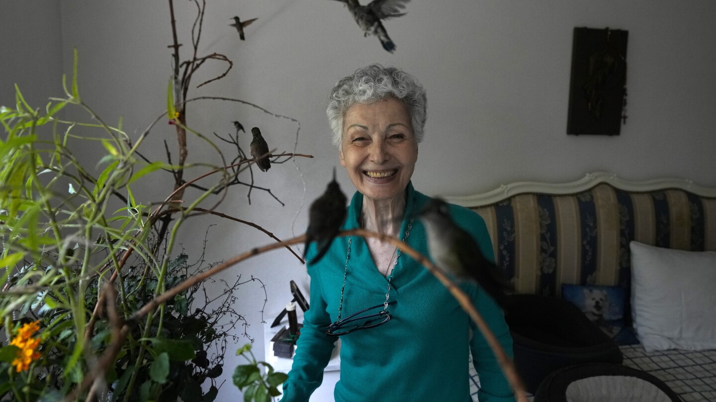Mexico City Woman Turns Apartment into Hummingbird Clinic