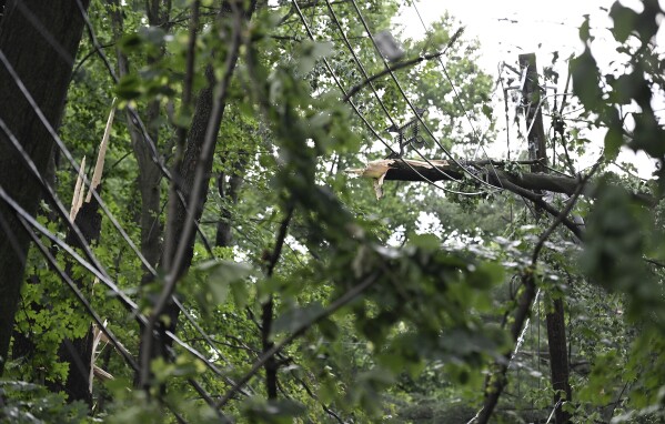 Part of a downed tree is tangled in power lines behind homes on Hubbard Street after a storm in Livonia, Mich., Wednesday, June 5, 2024. (Robin Buckson/Detroit News via AP)