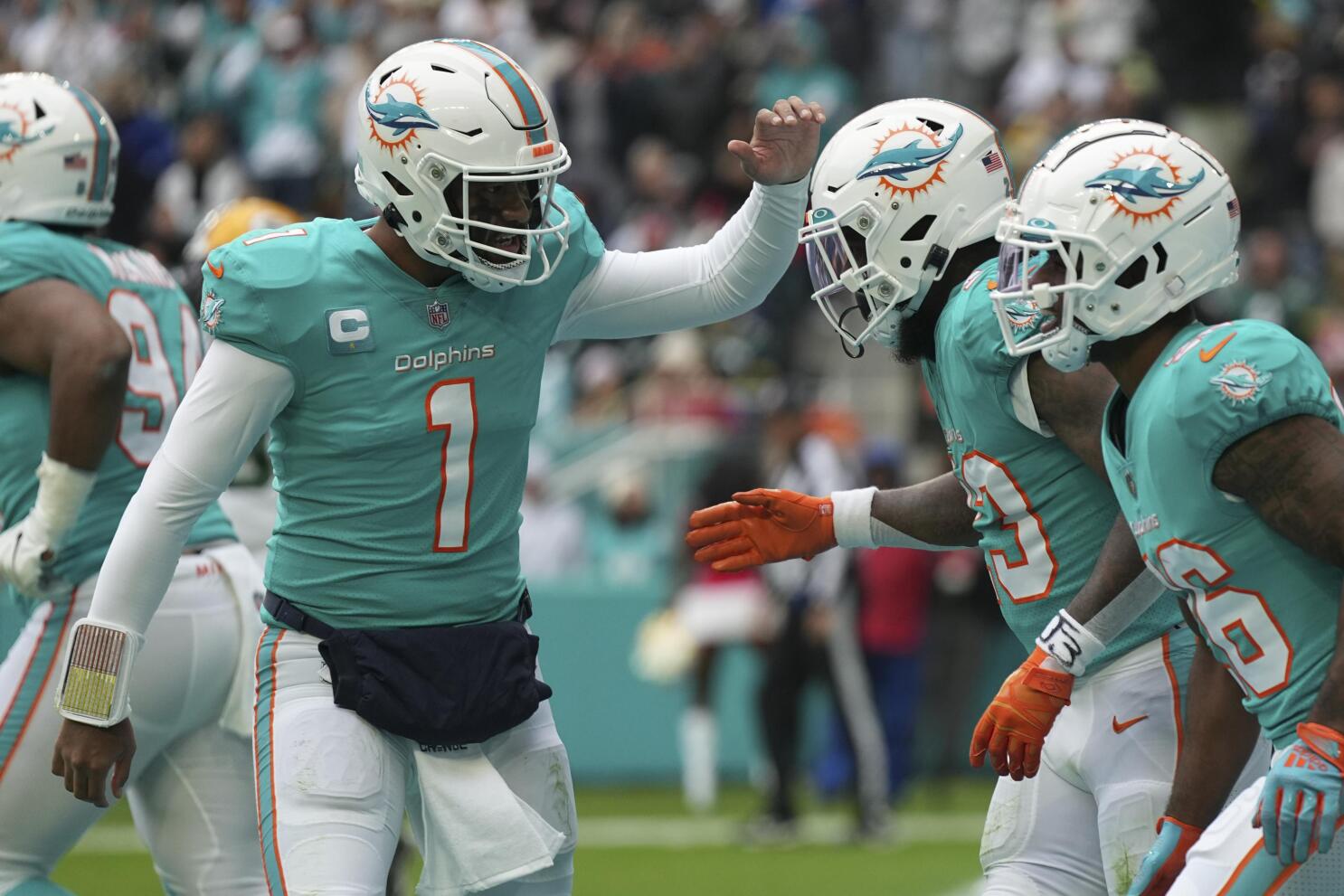 Dolphins Playoff Chances: How the Dolphins Clinch a Playoff Spot in Week 18