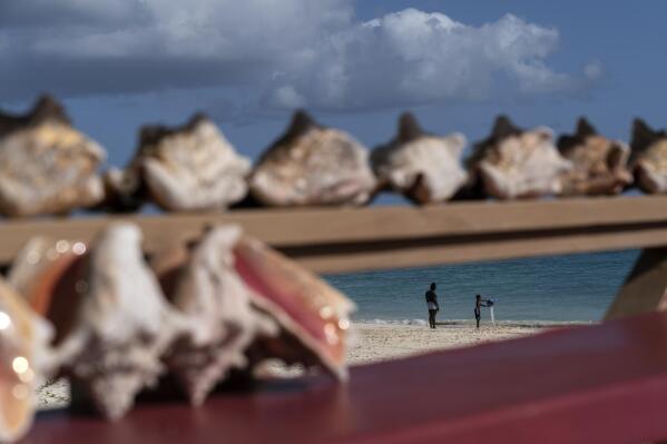 A young boy plays by the sea as conch shells line the porch of a restaurant in Freeport, Grand Bahama Island, Bahamas, Sunday, Dec. 4, 2022. The meat of the conch itself is worth millions per year at the docks, but it's also a key driver of tourism to the islands, in addition to being an important export item to the U.S. and many other countries where conch is a delicacy. (AP Photo/David Goldman)