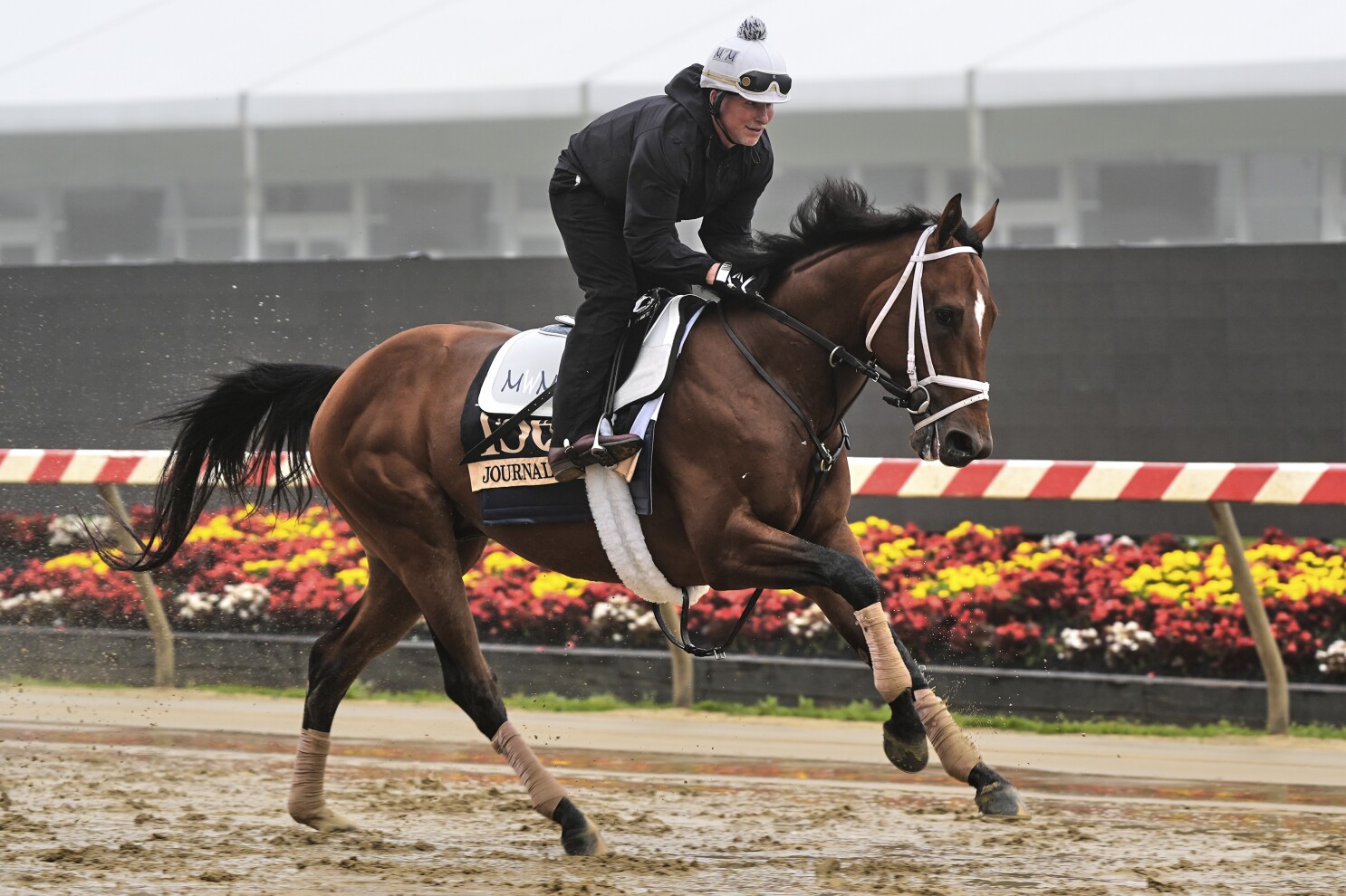 Journalism is the horse to beat in the Preakness. But recent trends show it won't be easy