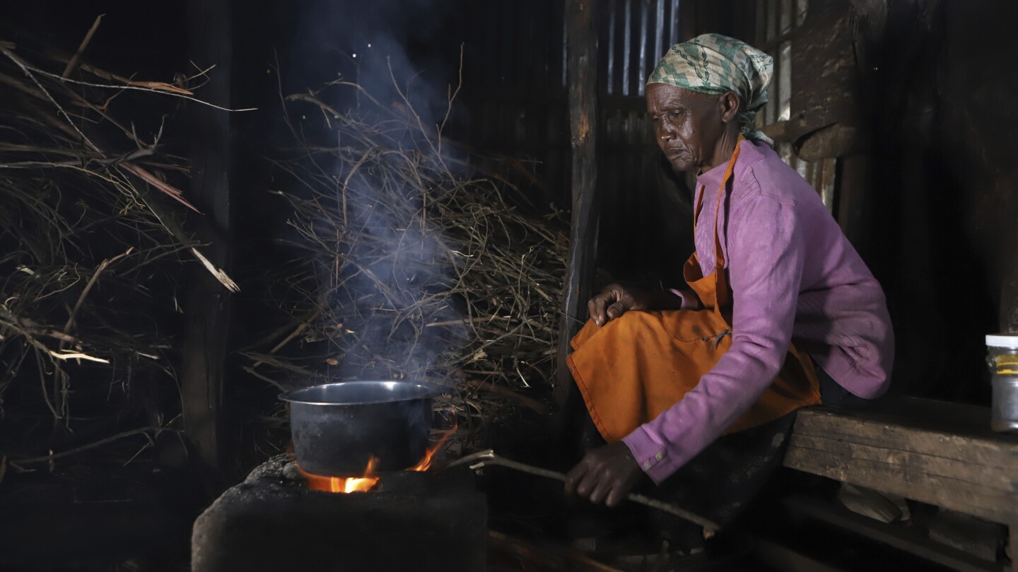НАЙРОБИ Кения AP — Купчини дърва за огрев заобиколиха Джейн
