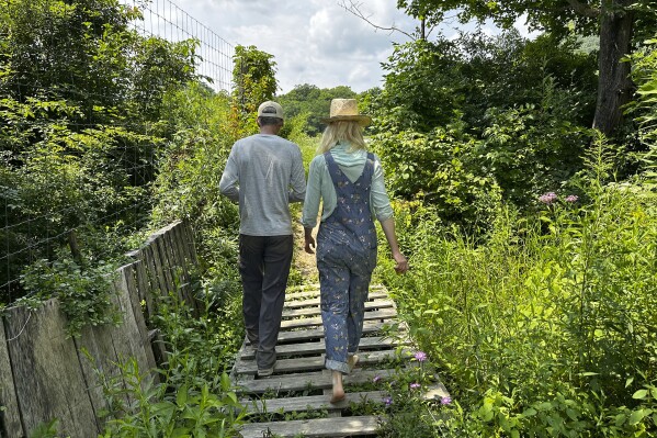 The founders of Fruition Seeds, Matthew Goldfarb, left, and Petra Page-Mann, walk on their farm in Naples, N.Y., on Thursday, Aug. 1, 2024. The multimillion-dollar organic seed company has declared that "seeds are gifts" and will be giving them away after this month. (AP Photo/Cara Anna)