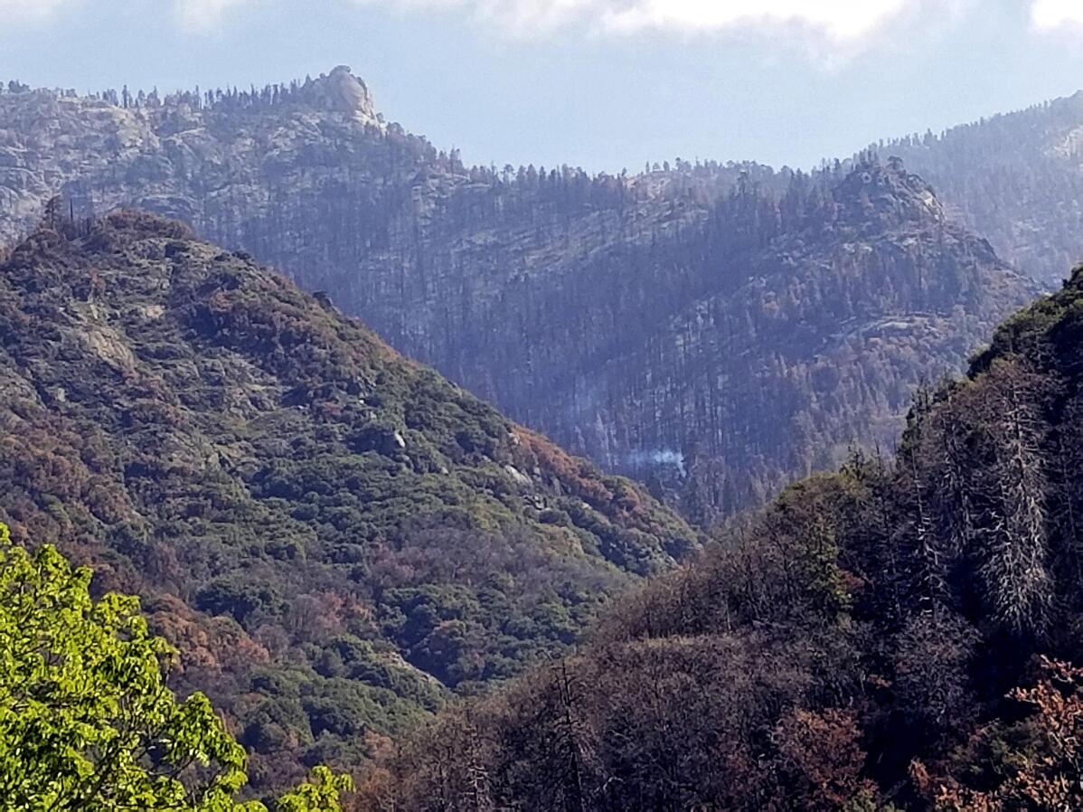 Giant Sequoia Still Smoldering From 2020 California Wildfire | Ap News