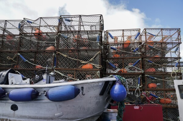 Crab pots sit on a dock, Sunday, June 25, 2023, in Kodiak, Alaska.  (AP Photo/Joshua A. Bickel)