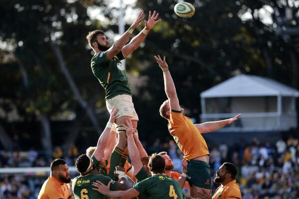 South Africa's Lood de Jager, top left, jumps over Australia's Matt Philip to win a line out ball during their Champions Rugby test match in Adelaide, Australia, on Saturday, Aug. 27, 2022. (AP Photo/James Elsby)