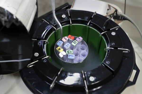 A view of some egg samples held inside a smaller cryo storage container, each container capable of holding approximately 150 egg samples immersed in liquid nitrogen, in one of the secured storage areas at the Aspire Houston Fertility Institute in vitro fertilization lab Tuesday, Feb. 27, 2024, in Houston. Women over 35 and those facing serious diseases like cancer, lupus and sickle cell are among the most likely to turn to IVF to build the families they desperately want. But in Alabama, they are among those whose dreams are in limbo after three of the state's largest clinics paused IVF services. (AP Photo/Michael Wyke)