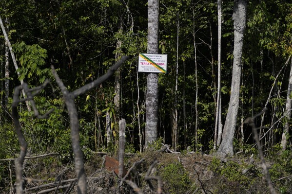 A federal sign hangs on a tree to mark the land of the Juma Indigenous community, where three sisters lead and manage the Indigenous territory after the death of their father, near Canutama, Amazonas state, Brazil, Saturday, July 8, 2023. (AP Photo/Andre Penner)