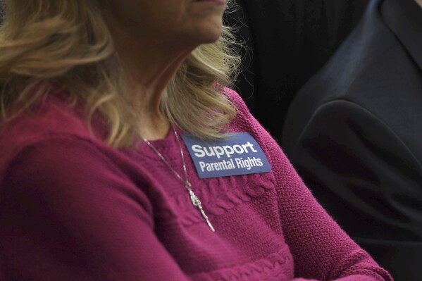 People attend a Senate committee hearing at the Capitol in Tallahassee, Fla. (AP Photo/Aileen Perilla, file)