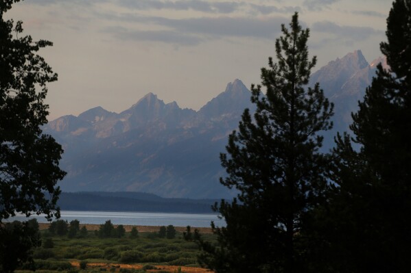 FILE - The morning sun illuminates the Grand Tetons at Grand Teton National Park, north of Jackson Hole, Wyo., Aug 26, 2016. A grizzly bear that attacked a hiker in Wyoming's Grand Teton National Park won't be captured or killed by wildlife authorities because it may have been trying to protect a cub, park officials said in a statement Tuesday, May 21, 2024. (AP Photo/Brennan Linsley, File)