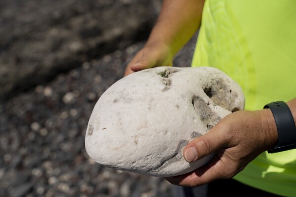 Ekolu Lindsey, a Lahaina community advocate who has long pushed to restore coral reefs, fishing and traditions in his hometown, picks up a coral reef of pohaku puna - a lobe coral and one of Hawaii's most prominent reef-building coral species, at Olowalu Landing on Friday, Feb. 23, 2024, in Lahaina, Hawaii. (AP Photo/Mengshin Lin)