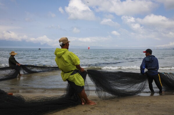 Fishers retrieve a net on Nguyen Tat Thanh beach on March, 6, 2025, in Da Nang, Vietnam. (AP Photo/Yannick Peterhans)