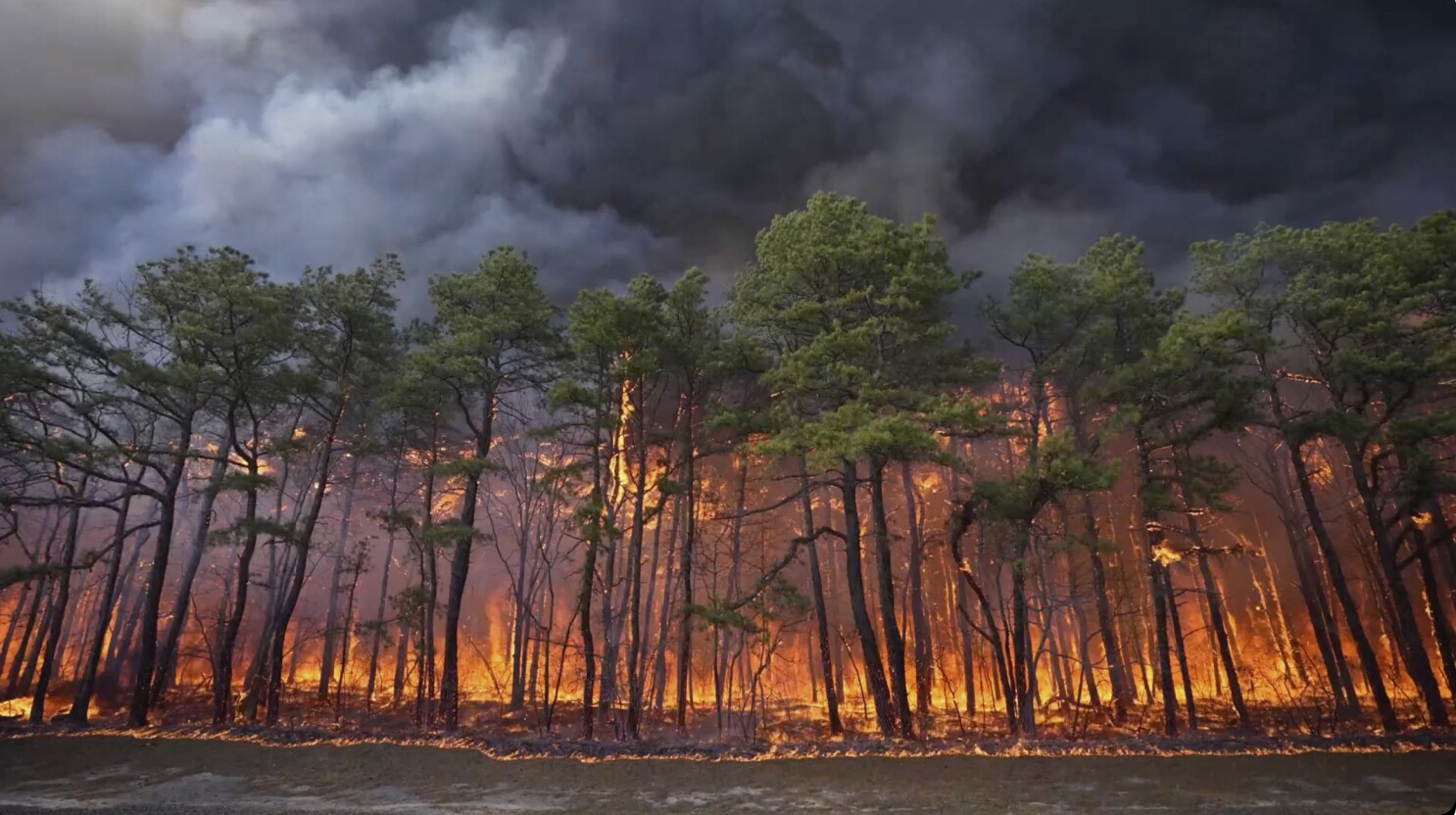 New Jersey Pine Barrens wildfire expected to grow before it's contained