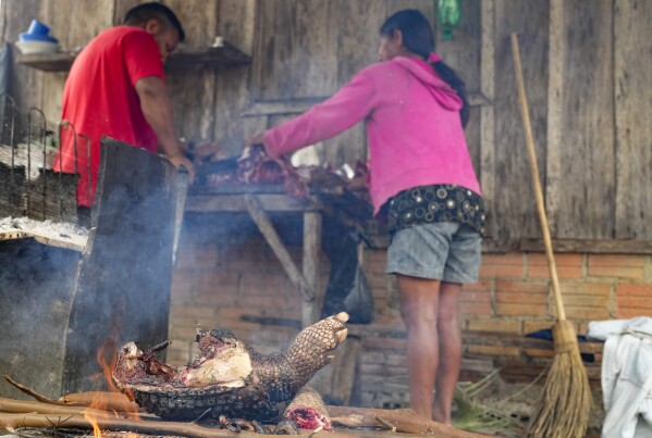 Wari' Indigenous grill an armadillo in Guajara-Mirim, Rondonia state, Brazil, Friday, July 14, 2023. (AP Photo/Andre Penner)