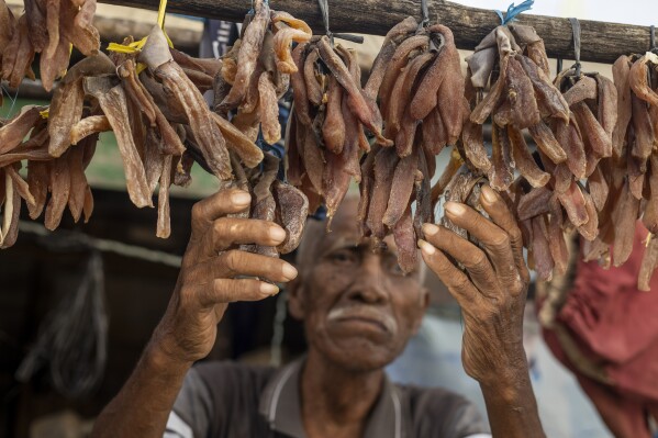 Ilyas, 70, who has been complaining of itchy skin rashes, checks on his dried fish at his house on Kabaena Island near nickel mining activities in Indonesia, Friday, Nov. 15, 2024. (AP Photo/Yusuf Wahil)