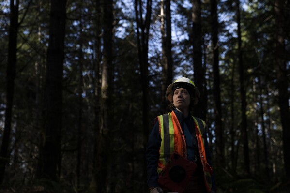 Washington State Department of Natural Resources geologist Emilie Richard looks out from the road before walking to examine the site of a potential landslide in the Capitol Forest, Thursday, March 14, 2024, in Olympia, Wash. Washington state has hired several staff members to work on landslide mapping and analysis since 2014's Oso landslide. Its geologists head into the field to confirm what they see in the aerial mapping. (AP Photo/Jenny Kane)