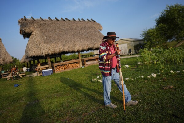 Miccosukee Tribal elder Michael Frank walks past chickees, stilt homes, used for community activities, on the Miccosukee Indian Reservation in the Florida Everglades, Thursday, May 16, 2024. (AP Photo/Rebecca Blackwell)