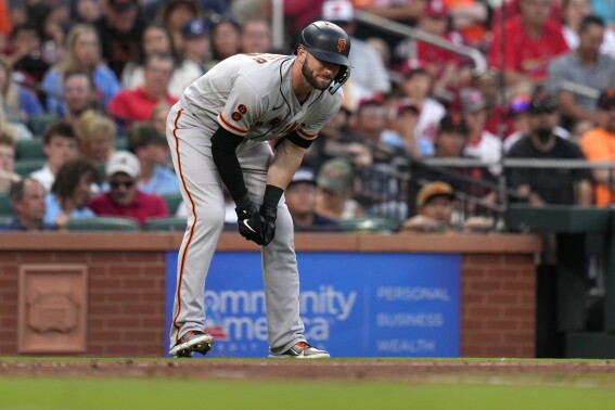 San Francisco Giants' Mitch Haniger doubles over in pain after being hit by a pitch during the third inning of a baseball game against the St. Louis Cardinals Tuesday, June 13, 2023, in St. Louis. Haniger left the game. (AP Photo/Jeff Roberson)