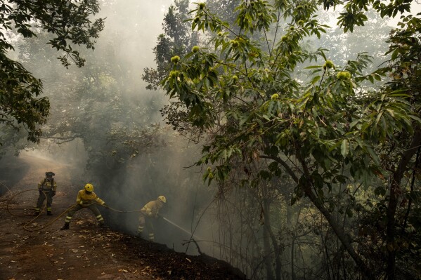 Emergency crews and firefighters are working to extinguish the fire advancing through the forest in La Orotava in Tenerife, Canary Islands, Spain on Aug. 19, 2023.(AP Photo/Arturo Rodriguez)