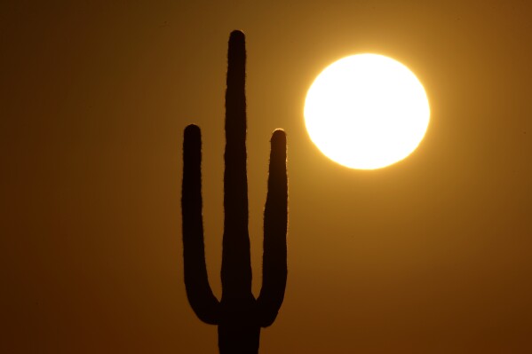 FILE - A saguaro cactus stands against the rising sun Monday, Feb. 22, 2016, in the desert north of Phoenix. The death of an older Arizona woman when her electricity was cut during a heat spell five years ago spurred changes in shutoff rules. The Arizona agency that oversees regulated utilities now bans power companies from cutting off power for failure to pay during Arizona's hottest months. (AP Photo/Charlie Riedel, File)