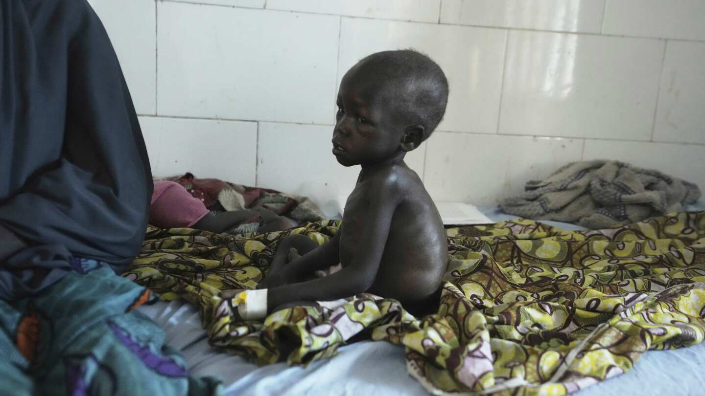 US Aid Cuts: Malnutrition Crisis Deepens, Threatening Lives of Vulnerable Children in Nigeria and Beyond